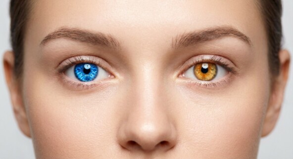 Как создавать трендовые изображения и картинки с помощью Nano Banana: трендовые промпты в 2025-2026 году