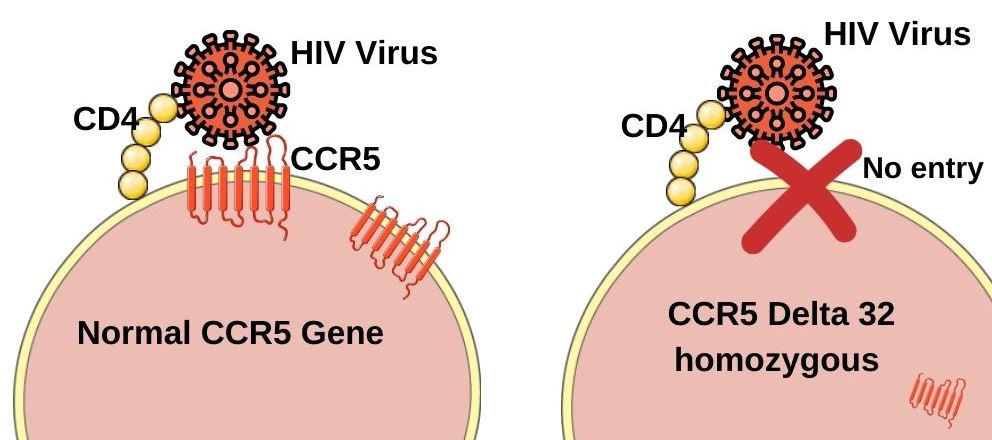 CRISPR-Cas9
