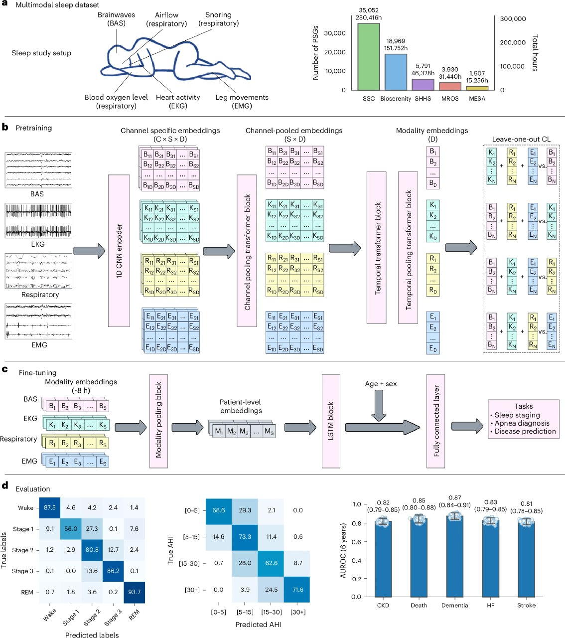 ИИ-модель Стэнфорда научилась диагностировать 130 заболеваний по одной ночи сна - 2