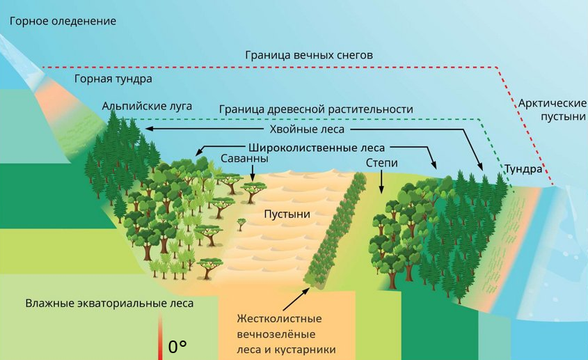 Machine Learning в экологии, или где живёт снежный человек - 3