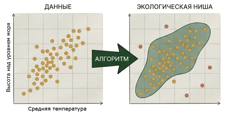 Machine Learning в экологии, или где живёт снежный человек - 5