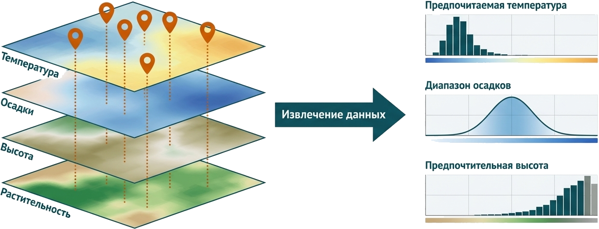 Machine Learning в экологии, или где живёт снежный человек - 6