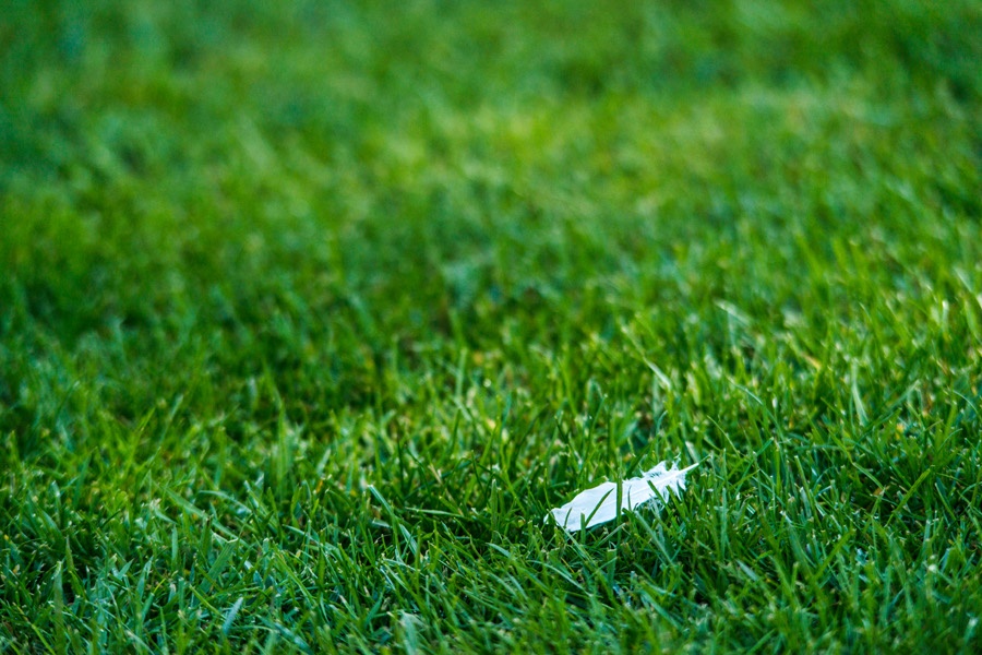 Психологические ловушки. Слепое пятно восприятия - 1