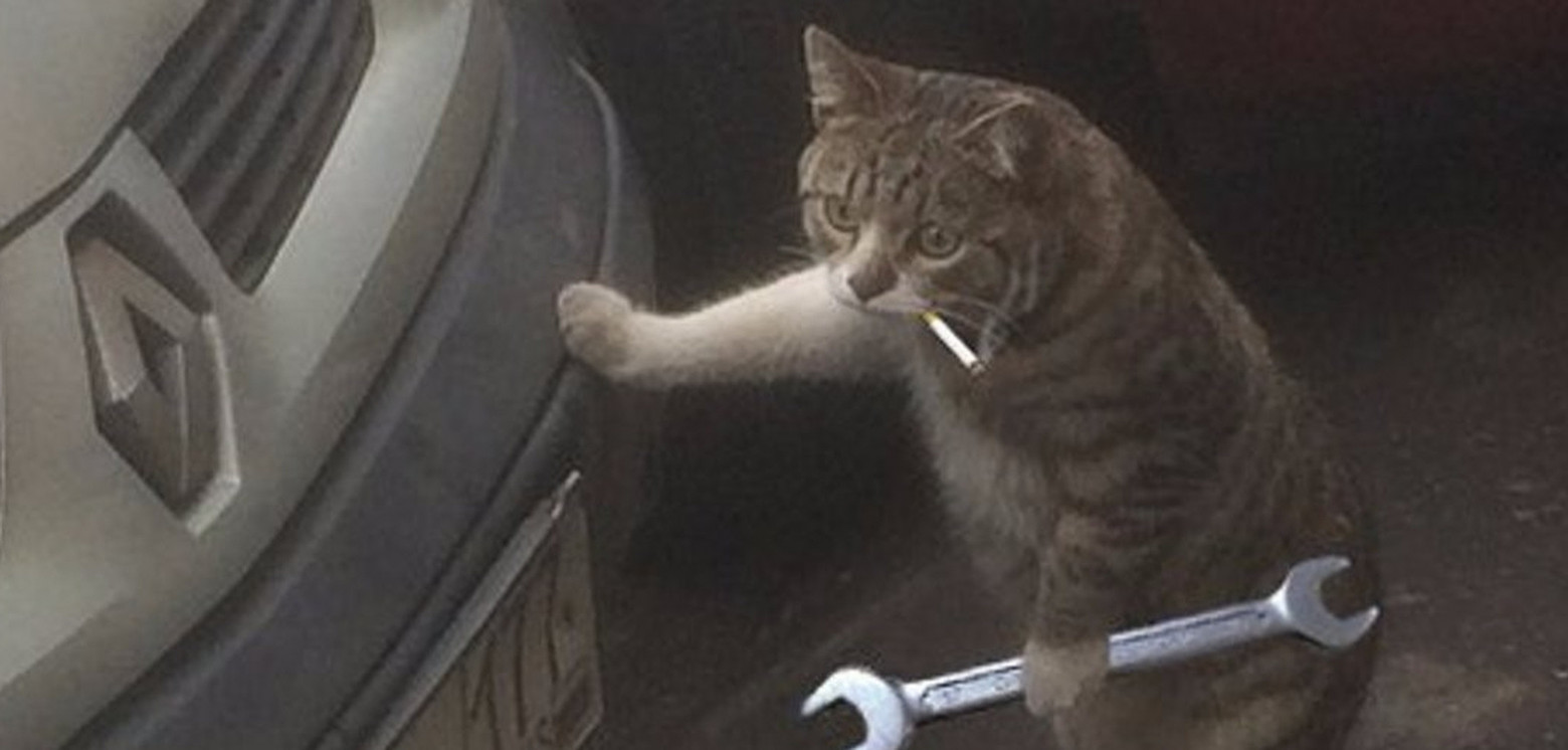 А что там с ИИ в MedTech? - 4