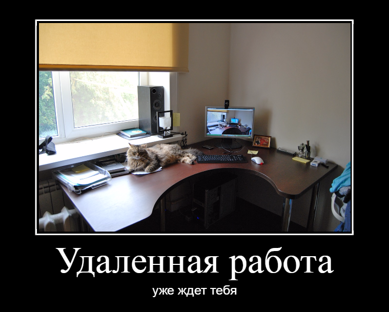 Боремся с отвлекающими факторами удаленки. Часть 2 - 1