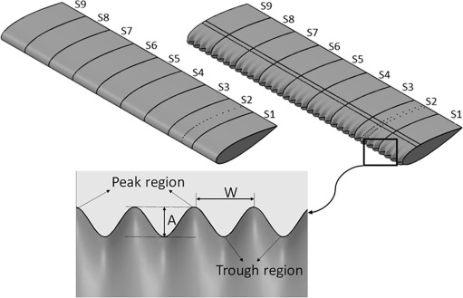 Модель плавника и лопасти с туберкулами