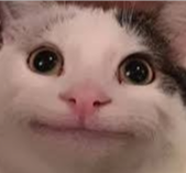 …подождите, я ведь ваш процесс показывал, который вы попросили сделать