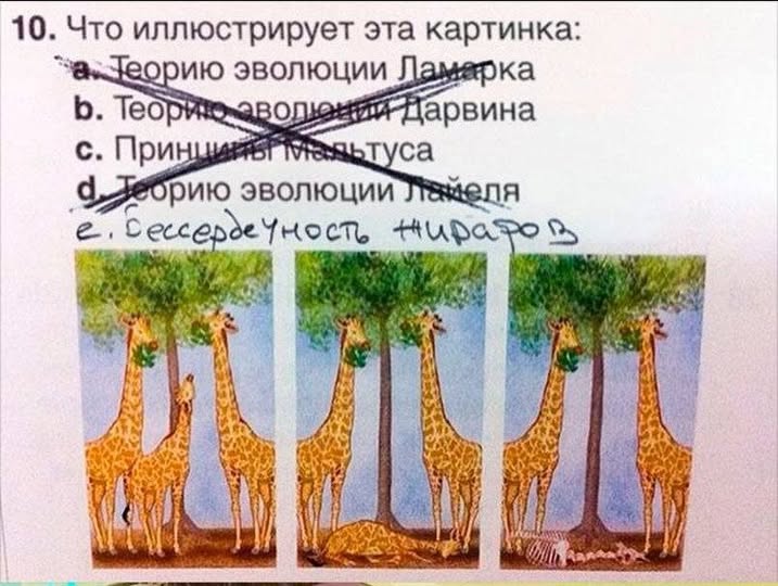 Эволюция теории эволюции: неодарвинизм, СТЭ, эпигенетика. Теория Дарвина устарела? - 18