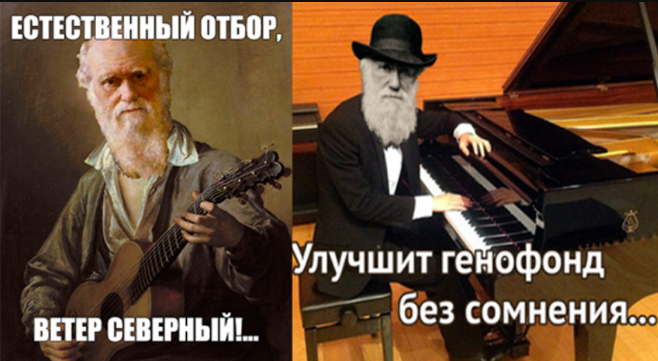 Эволюция теории эволюции: неодарвинизм, СТЭ, эпигенетика. Теория Дарвина устарела? - 3