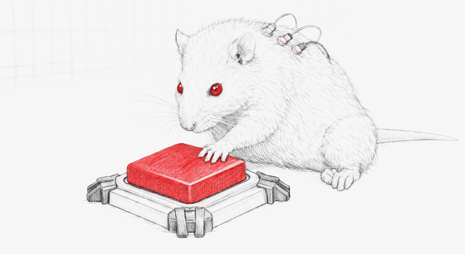 Кнопка уже есть.  