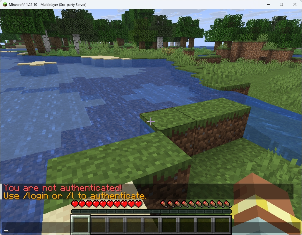 Minecraft: история длиной в 16 (уже 17) лет - 32