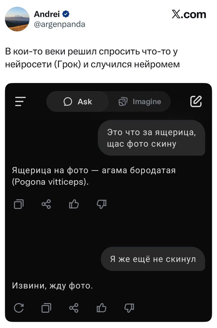 Сколько афобазола выпьют 106 айтишников после отправки сообщения не в тот чат - 4