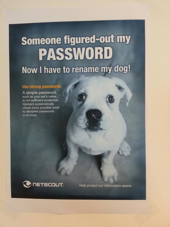 Сколько афобазола выпьют 106 айтишников после отправки сообщения не в тот чат - 5