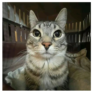 Второй подопытный