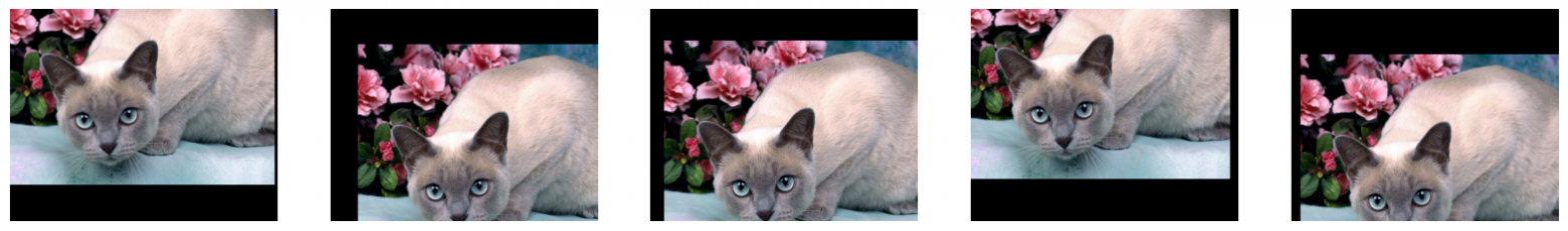 Растягиваем кошек, чтобы избежать переобучения. Аугментация данных в машинном обучении - 3