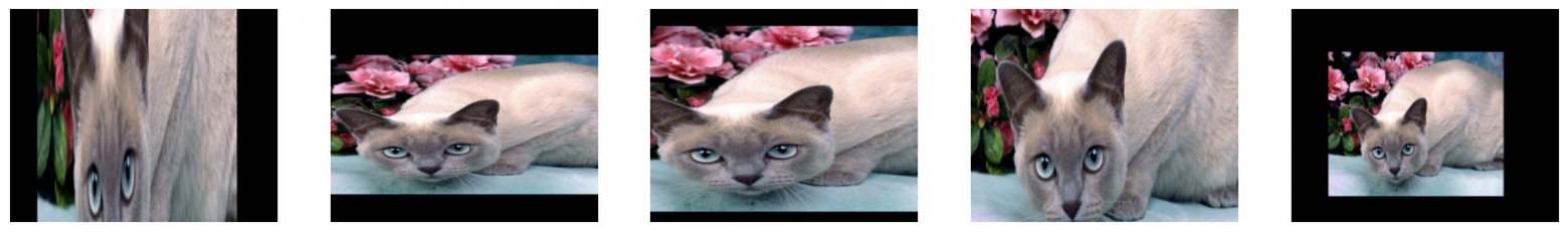 Растягиваем кошек, чтобы избежать переобучения. Аугментация данных в машинном обучении - 6