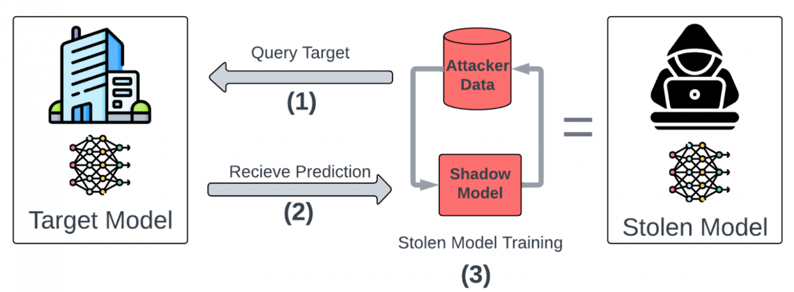 Злоумышленник, многократно отправляя запросы к целевой модели и получая её предсказания, собирает набор данных. На их основе он обучает свою собственную, украденную модель, которая копирует поведение оригинальной. Источник