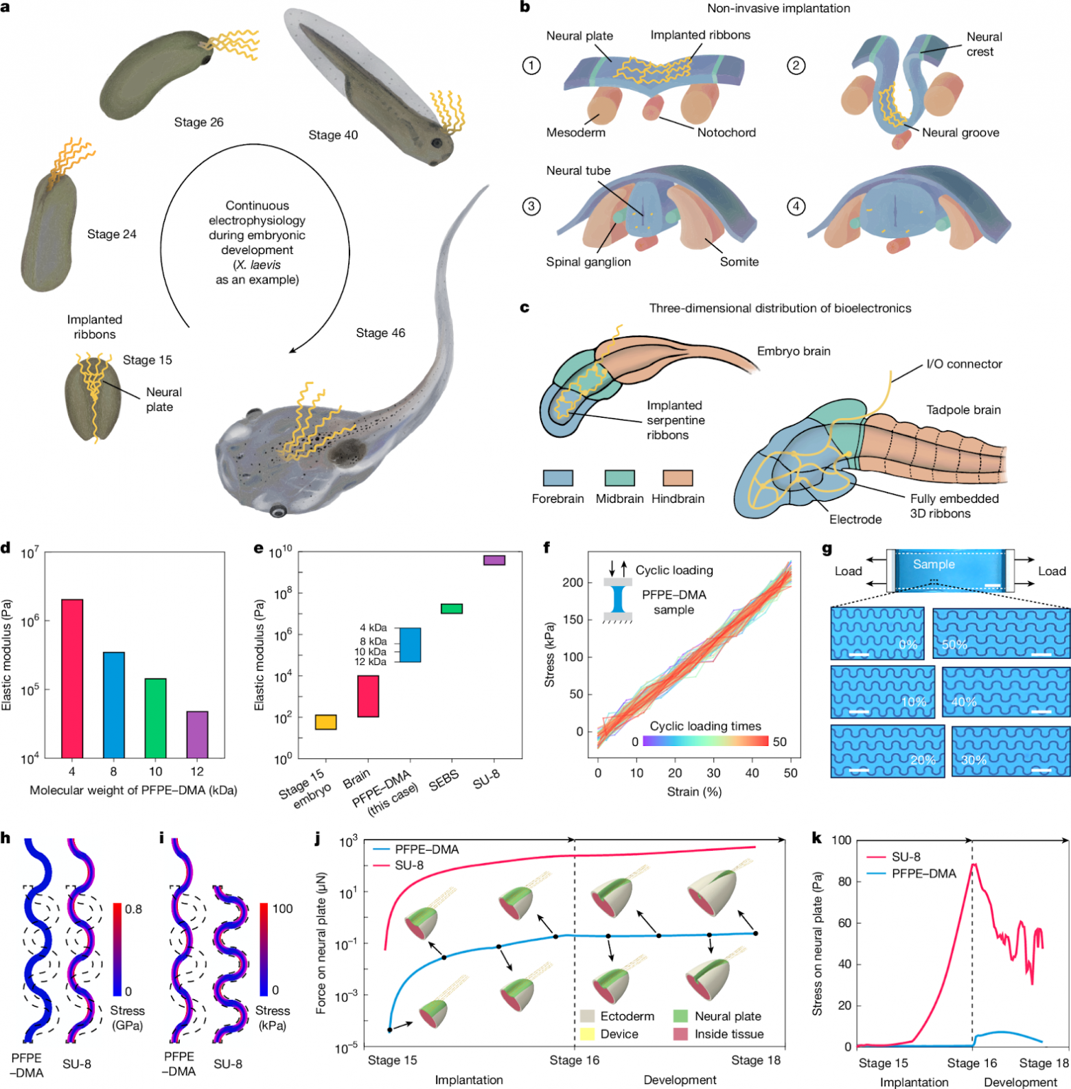 Имплантация сетки
