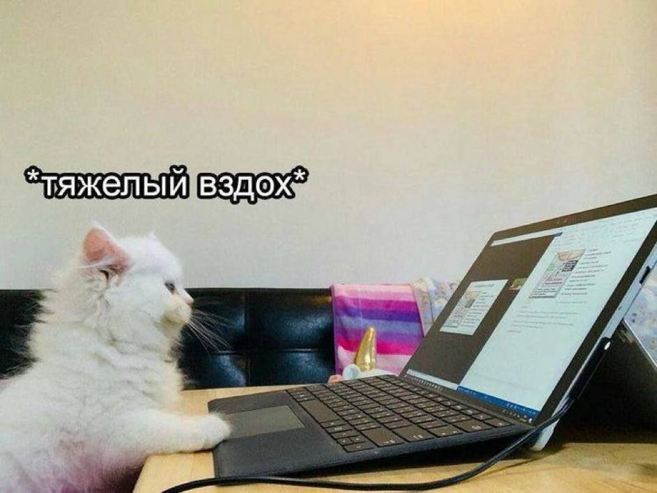 Шесть признаков того, что вам нужен отпуск. Даже если вы только из отпуска - 1 Шесть признаков того, что вам нужен отпуск. Даже если вы только из отпуска - 1