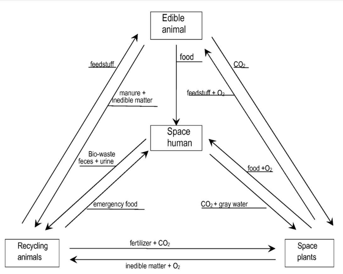 Схема из патента US9402378B2