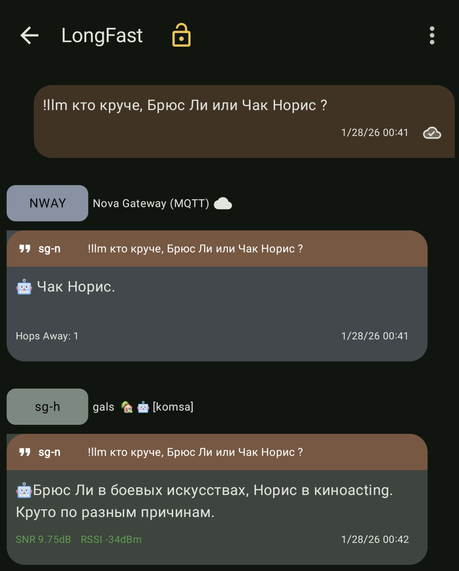 LLM для Meshtastic на Orange PI 5 8G - 4