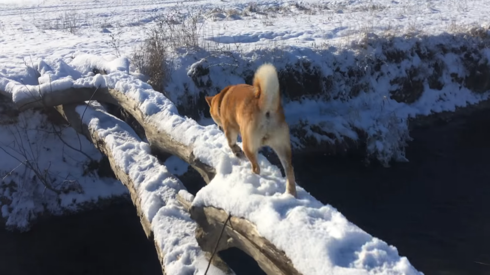 Мем "Это Фиаско, братан." Отсылка на новогодние обещания, которые не исполнились.