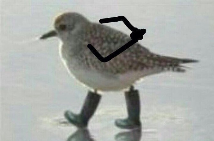 Мем: "Ну чтож".