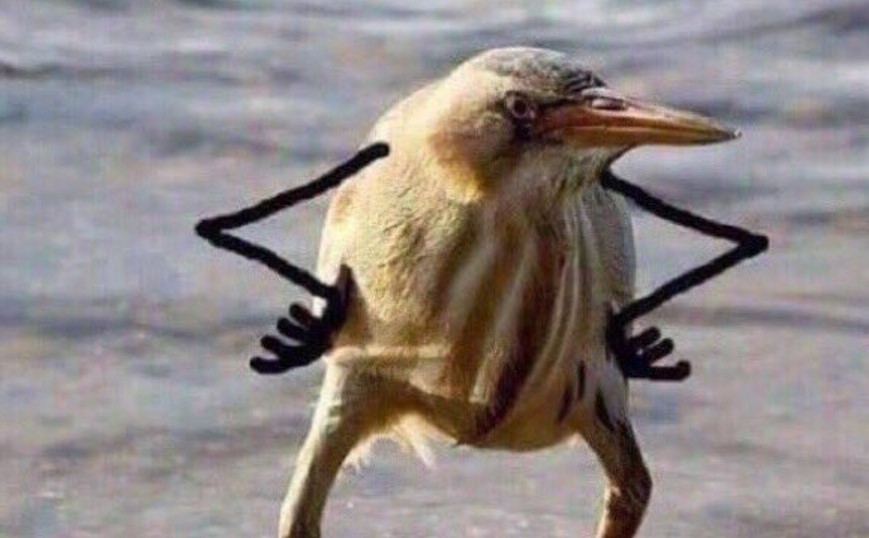 Мем: "Так блэт". Тут мы решительно беремя за дело.