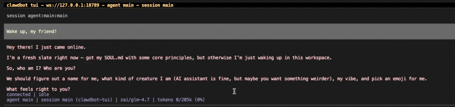 Clawdbot → Moltbot → OpenClaw ≠ магия: честный гайд по приручению AI-ассистента - 18 17-first-message.jpg