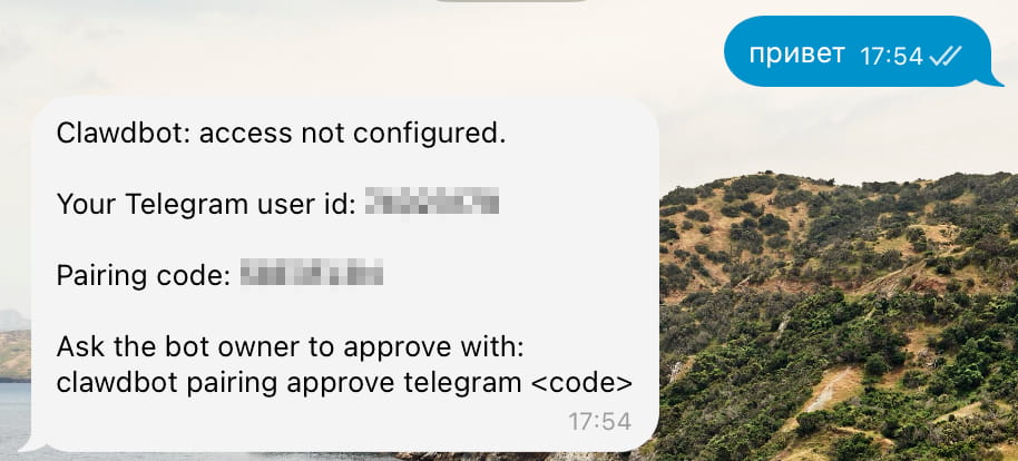 Clawdbot → Moltbot → OpenClaw ≠ магия: честный гайд по приручению AI-ассистента - 19 18-pairing-code.jpg