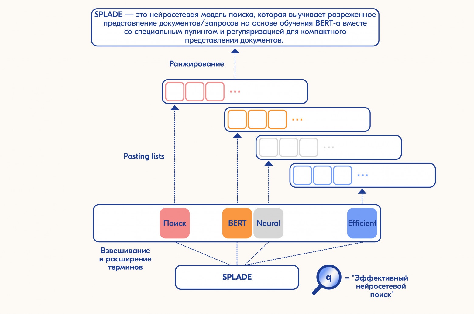 Схематическая работа SPLADE модели