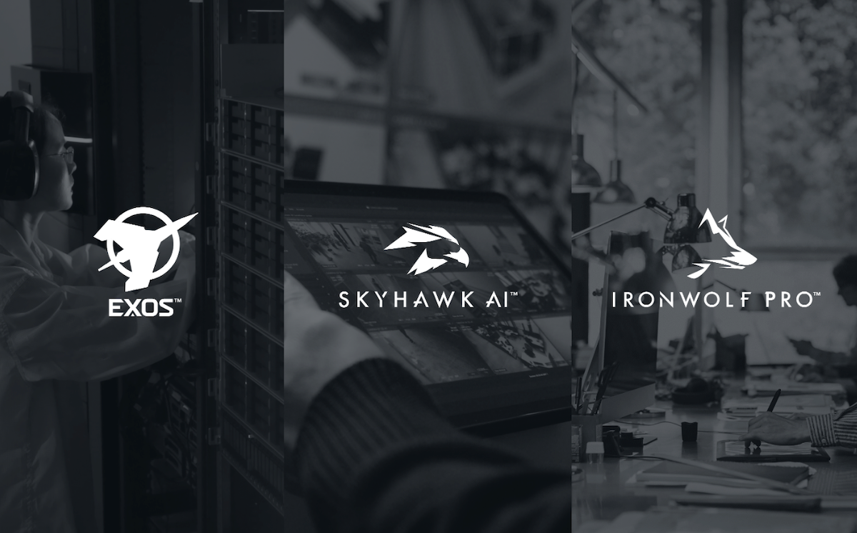 Каждая линейка для своих задач. Они смогут выполнять и другие, но лучше выбрать сразу под то, что нужно.