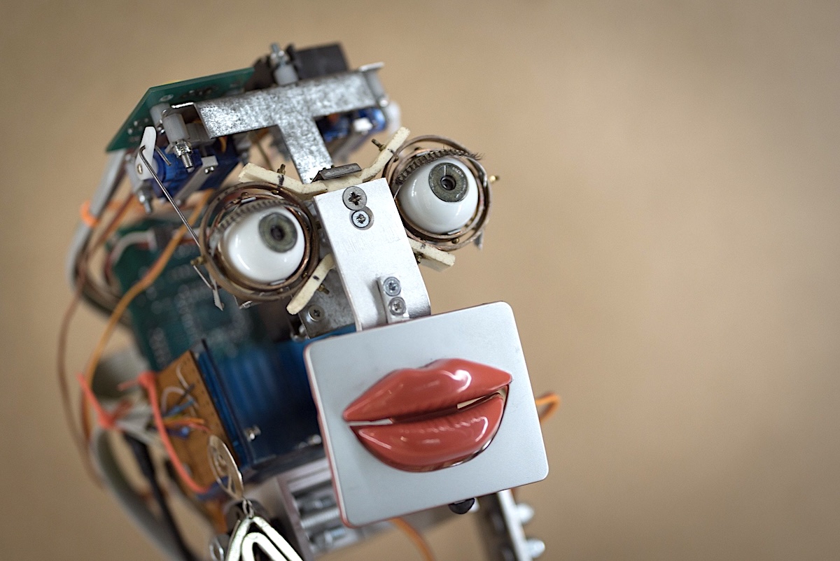 Изображение: Paul Hudson (CC BY 2.0)