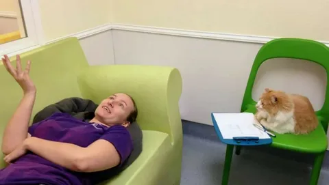 Когда нет денег на психолога