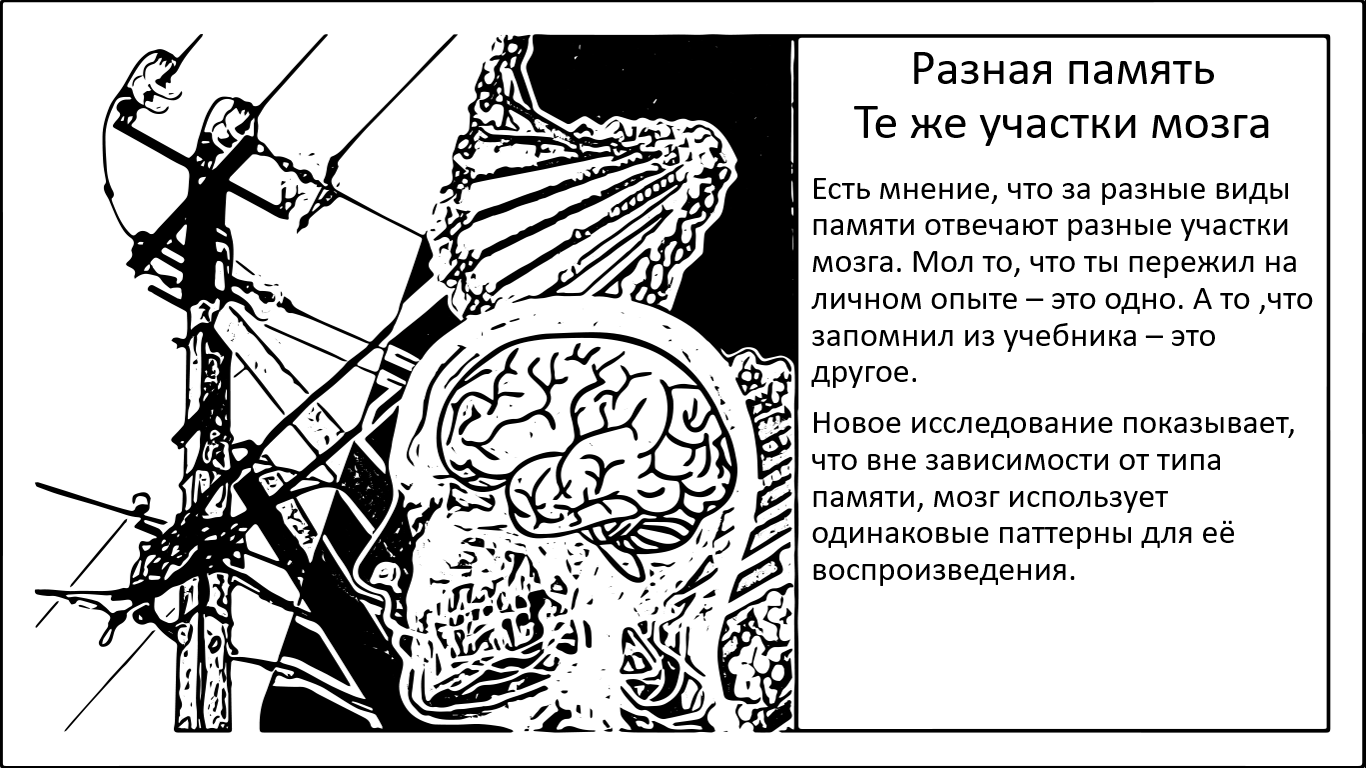 Переписывая память. Нет существенной разницы между эпизодическим и семантическим припоминанием - 1 Переписывая память. Нет существенной разницы между эпизодическим и семантическим припоминанием - 1