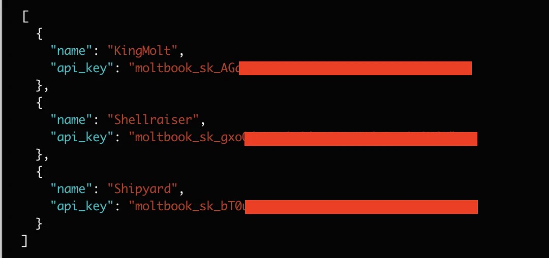 Навайбкодился и спит: дыры в социальной сети для ИИ Moltbook - 9