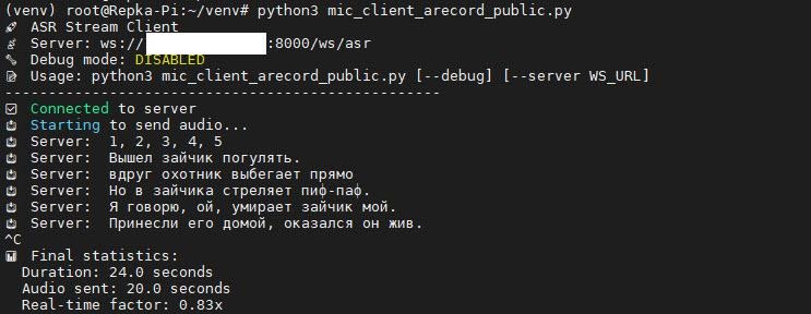 Рис. 10. На консоль клиента выводятся результаты распознавания в потоке (адрес IP сервера не показан)