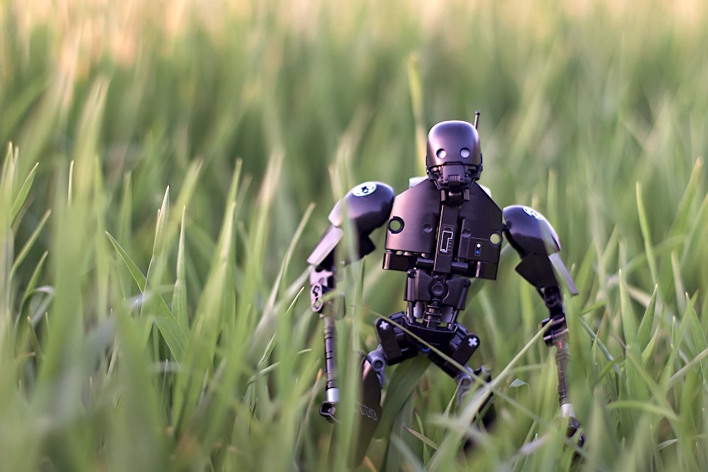 Изображение: sagesolar (CC BY 2.0)