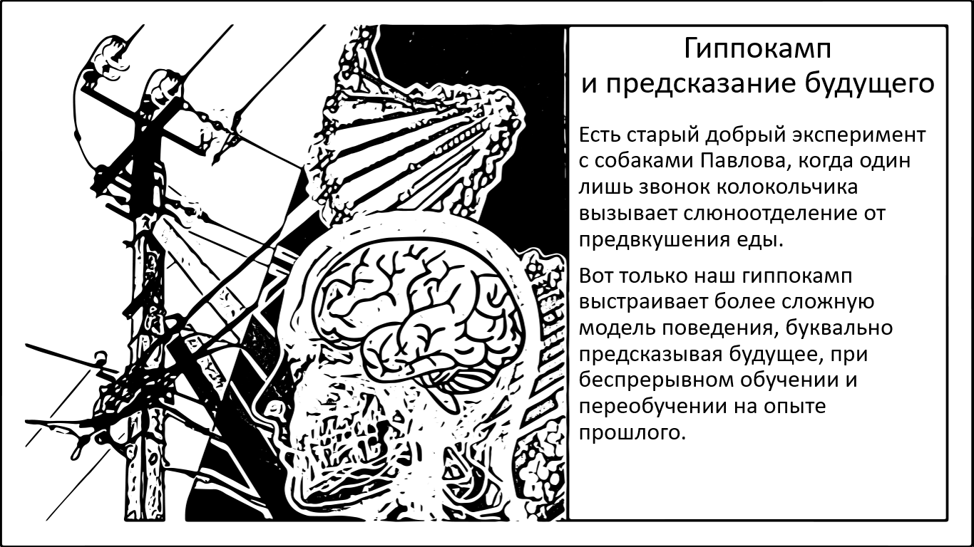 Часть мозга, которая предугадывает события. Ценой реорганизации памяти - 1