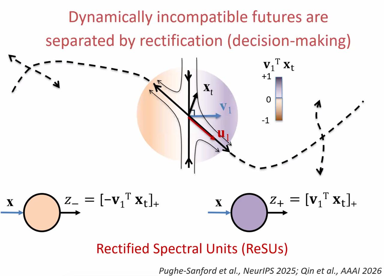 Слайд доклада Mitya Chklovskii