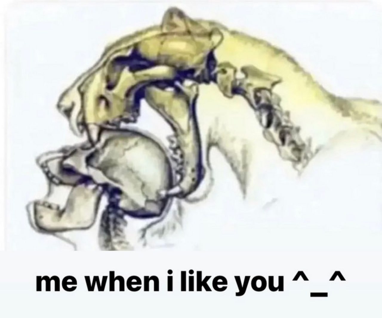 Правда и мифы об эволюции. Дарвинизм против креационизма. Деконструкция разумного замысла - 13 Правда и мифы об эволюции. Дарвинизм против креационизма. Деконструкция разумного замысла - 13