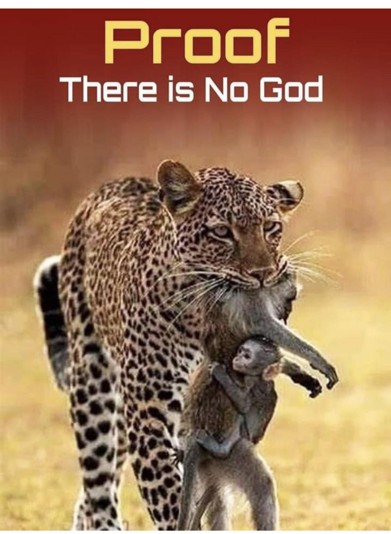 Правда и мифы об эволюции. Дарвинизм против креационизма. Деконструкция разумного замысла - 16 Правда и мифы об эволюции. Дарвинизм против креационизма. Деконструкция разумного замысла - 16