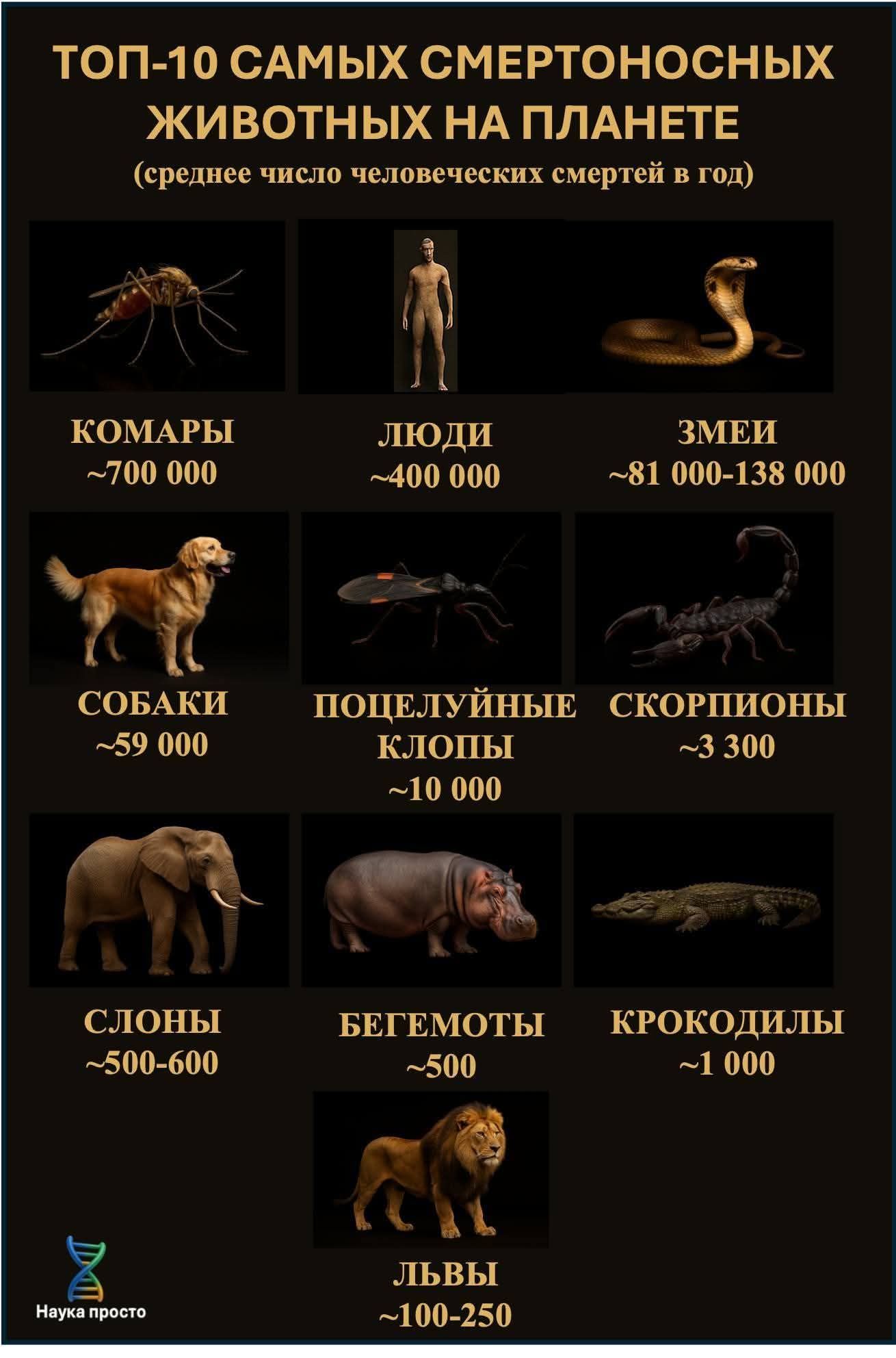 Правда и мифы об эволюции. Дарвинизм против креационизма. Деконструкция разумного замысла - 19 Правда и мифы об эволюции. Дарвинизм против креационизма. Деконструкция разумного замысла - 19