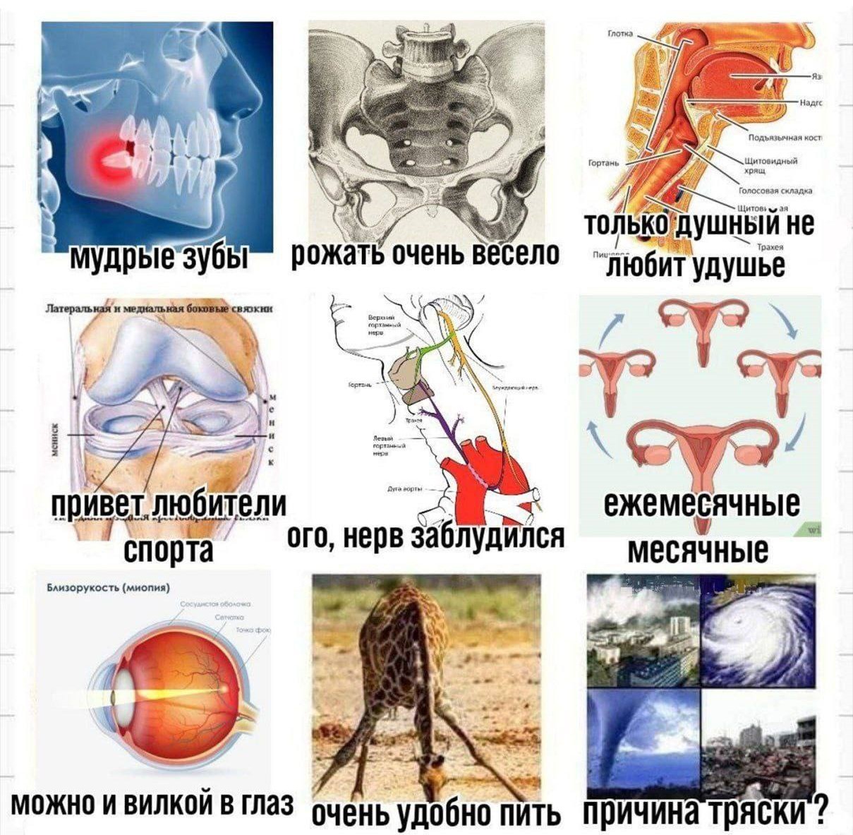 Правда и мифы об эволюции. Дарвинизм против креационизма. Деконструкция разумного замысла - 21 Правда и мифы об эволюции. Дарвинизм против креационизма. Деконструкция разумного замысла - 21