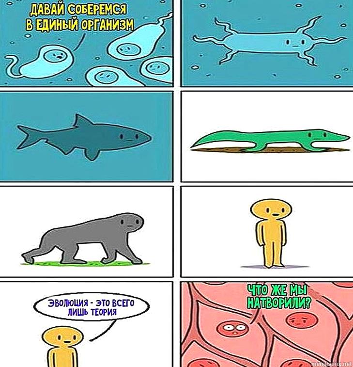 Правда и мифы об эволюции. Дарвинизм против креационизма. Деконструкция разумного замысла - 5 Правда и мифы об эволюции. Дарвинизм против креационизма. Деконструкция разумного замысла - 5