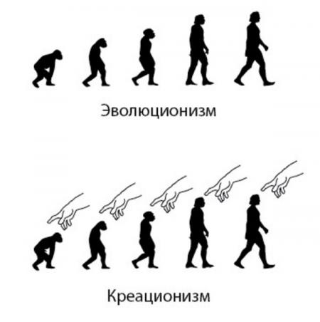 Правда и мифы об эволюции. Дарвинизм против креационизма. Деконструкция разумного замысла - 6 Правда и мифы об эволюции. Дарвинизм против креационизма. Деконструкция разумного замысла - 6