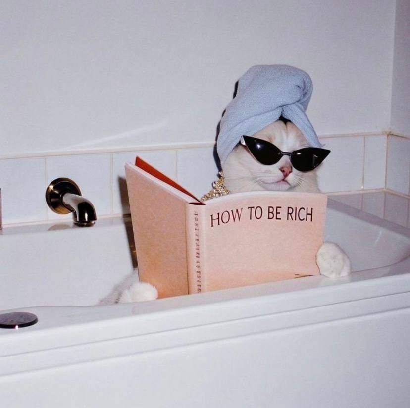 Когда пытаешься понять, как продвинуться по карьерной лестнице