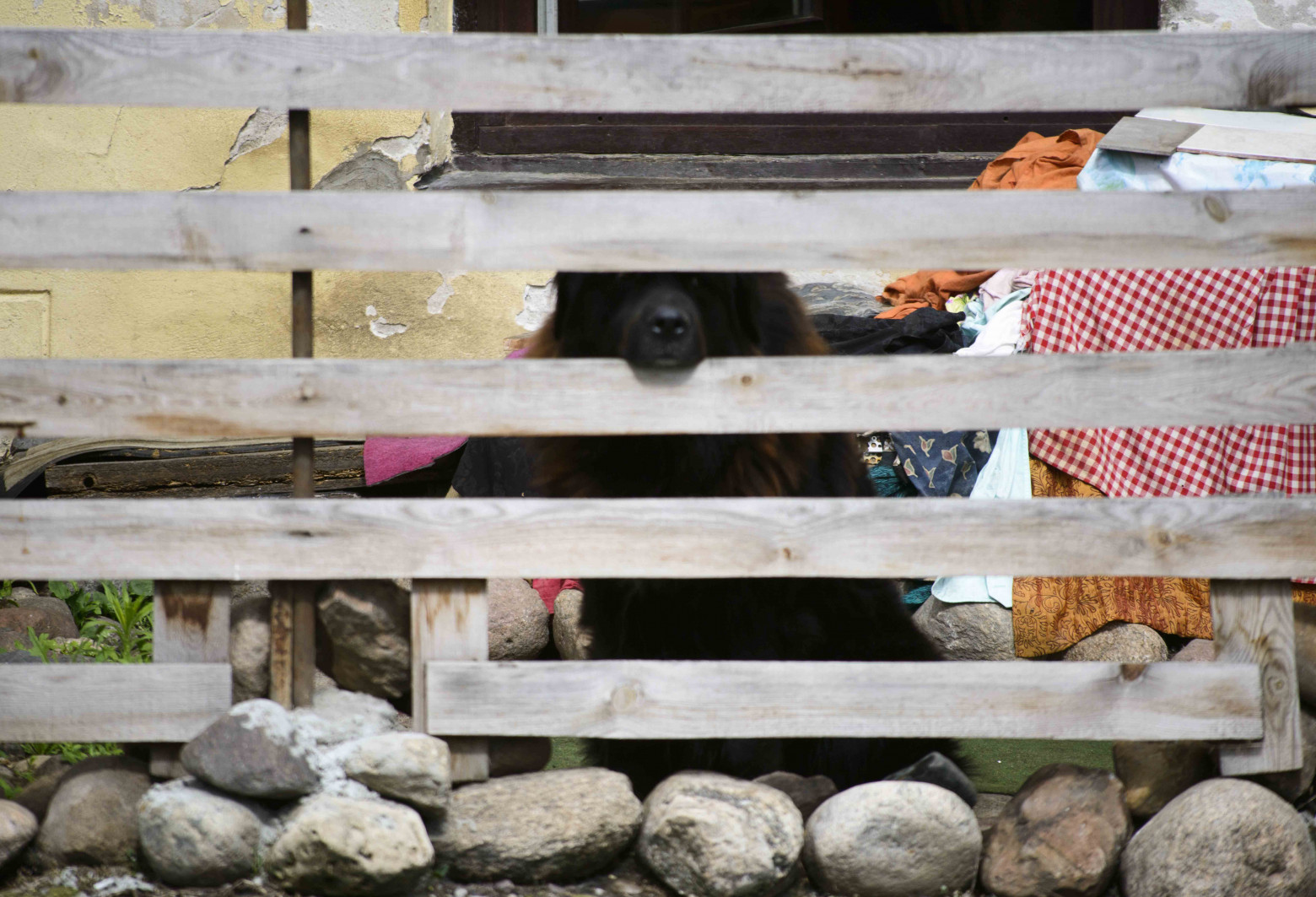 Мы там, где наше внимание - 1