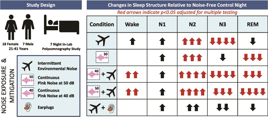 Розовый шум, беруши и нарушение сна - 2