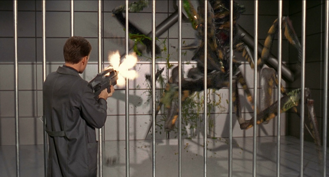 ЖУК В ЗЕРКАЛЕ, или SUMMA PRO VERHOEVEN, часть 2, изображение №11